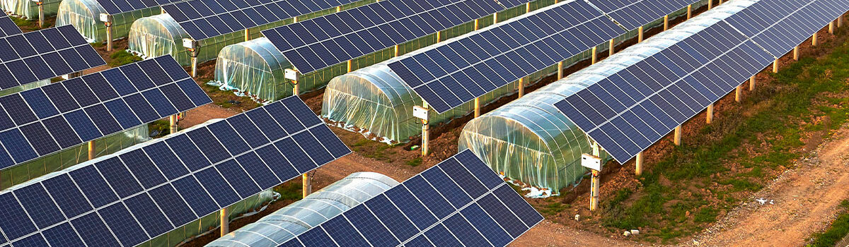 62bb152727c00-Agri-PV---1200-x-700 62bb152727c00-Agri-PV---1200-x-700