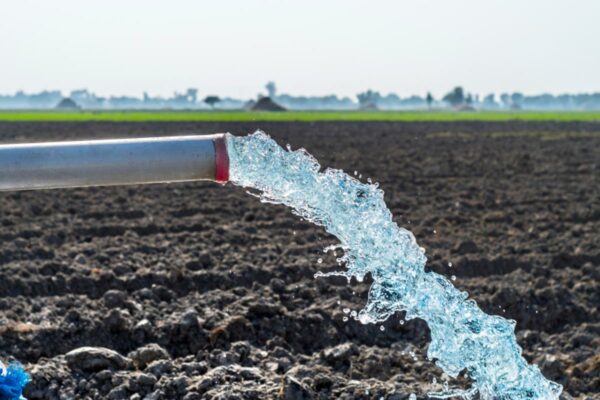 is_a_well_for_irrigation_worth_it is_a_well_for_irrigation_worth_it